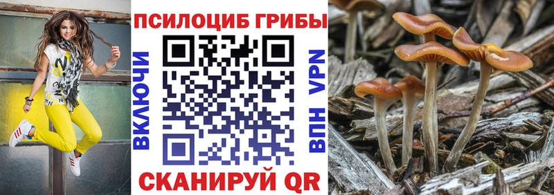 Купить  Казань  Галлюциногенные грибы прущие грибы 